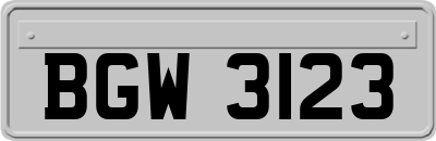 BGW3123