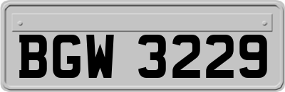 BGW3229