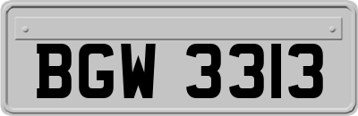 BGW3313