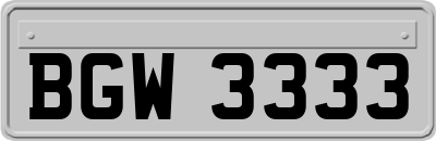 BGW3333