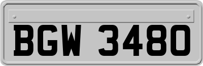 BGW3480