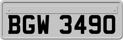 BGW3490