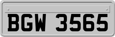 BGW3565