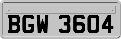 BGW3604