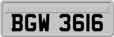 BGW3616