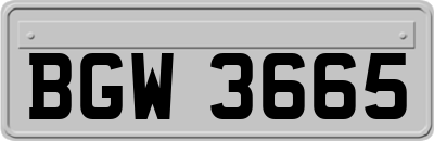 BGW3665