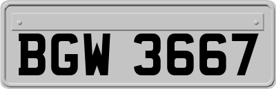 BGW3667