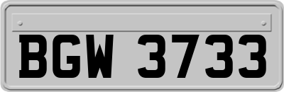 BGW3733