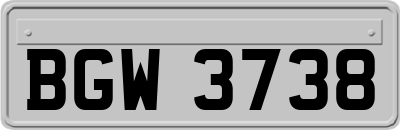 BGW3738
