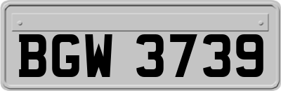 BGW3739