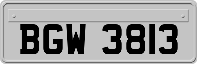BGW3813