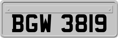BGW3819