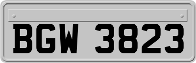 BGW3823