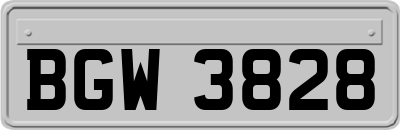 BGW3828