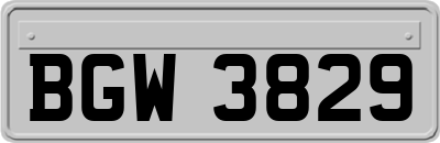 BGW3829
