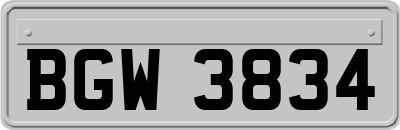 BGW3834