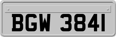 BGW3841