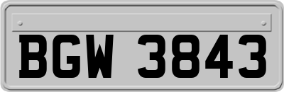 BGW3843