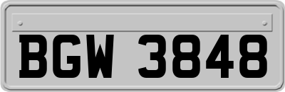 BGW3848
