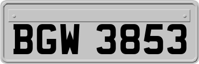 BGW3853