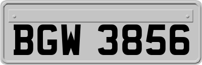 BGW3856