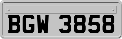 BGW3858