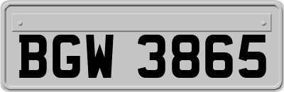 BGW3865
