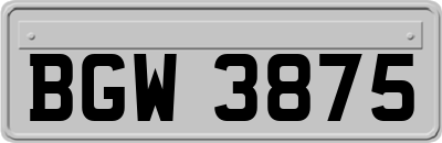 BGW3875