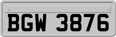 BGW3876