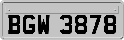 BGW3878