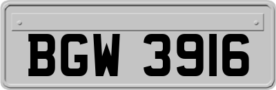 BGW3916