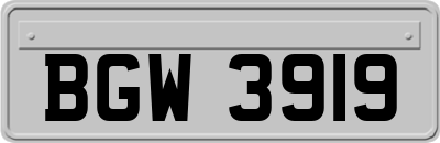 BGW3919