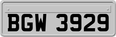 BGW3929