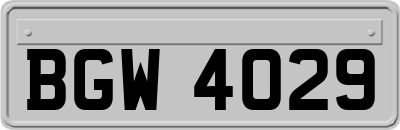 BGW4029