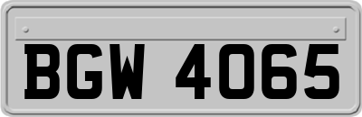 BGW4065