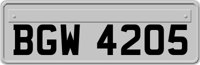 BGW4205