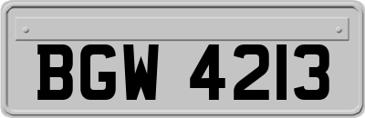 BGW4213