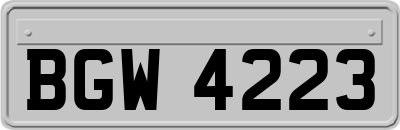 BGW4223
