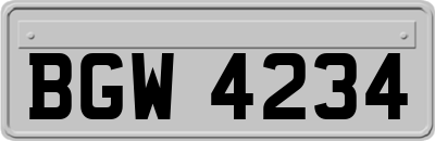 BGW4234