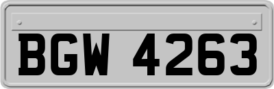 BGW4263