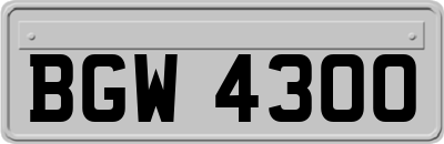 BGW4300