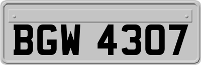BGW4307