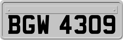 BGW4309