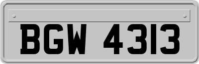 BGW4313