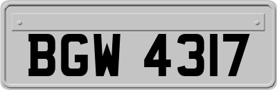 BGW4317