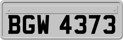 BGW4373