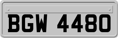 BGW4480