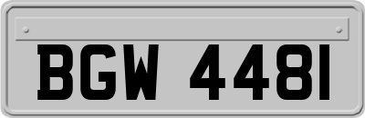 BGW4481