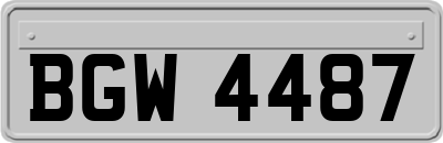 BGW4487