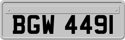 BGW4491